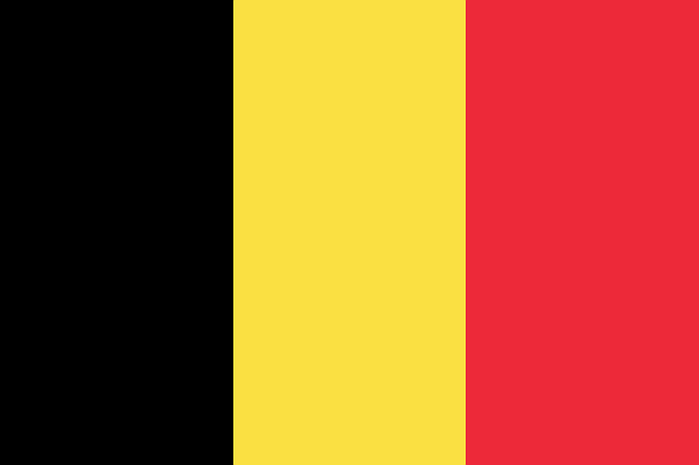 Štúdio Okami Architecten ukrýva vilu na svahu v belgickom svahu